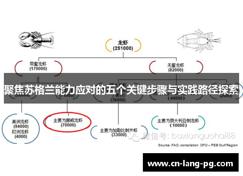 聚焦苏格兰能力应对的五个关键步骤与实践路径探索 聚焦苏格兰能力应对的五个关键步骤与实践路径探索