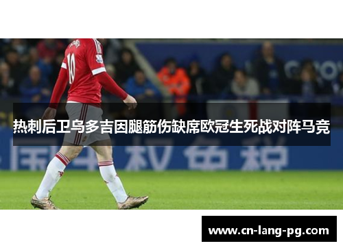 热刺后卫乌多吉因腿筋伤缺席欧冠生死战对阵马竞 热刺后卫乌多吉因腿筋伤缺席欧冠生死战对阵马竞